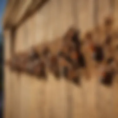 Close-up of a termite infestation in wood structures