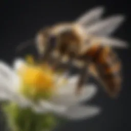 Close-up of a honey bee on a flower, showcasing pollination