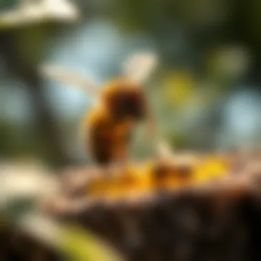 Community workshop promoting awareness about bee conservation