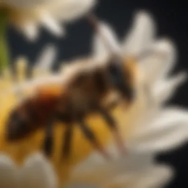 The Importance of Bees in Ecosystems Close-up of a bee pollinating a flower