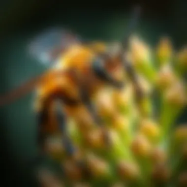 Exploring the Biology of Pests Understanding pest biology