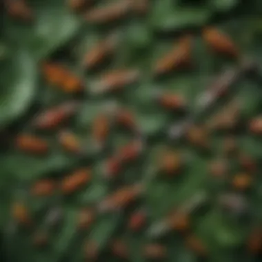 A close-up of various insect species on a leaf.