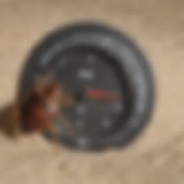 Temperature Thresholds Impacting Bed Bug Survival Infographic showing temperature thresholds for bed bug survival