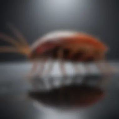 Illustration of a cockroach with ultrasonic waves