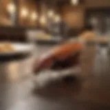 Close-up of a cockroach on a restaurant table