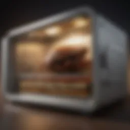 Advanced technology of commercial bed bug ovens demonstrating efficacy in pest control.