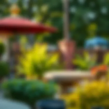 Creating a Tick-Free Outdoor Environment A safe outdoor space free from ticks