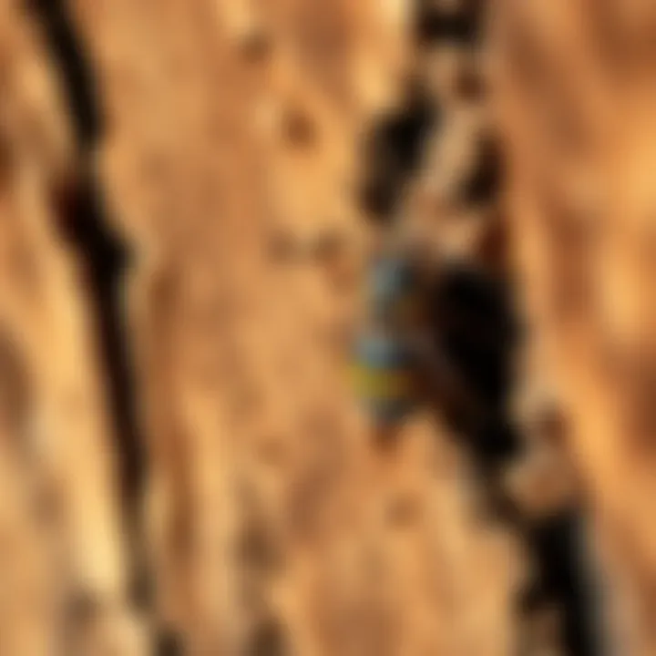 Close-up of termite damage on wooden structure