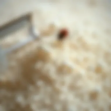 Diatomaceous Earth Granules Close-up of diatomaceous earth granules