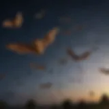 A bat in flight under a starry sky