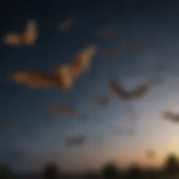 A bat in flight under a starry sky