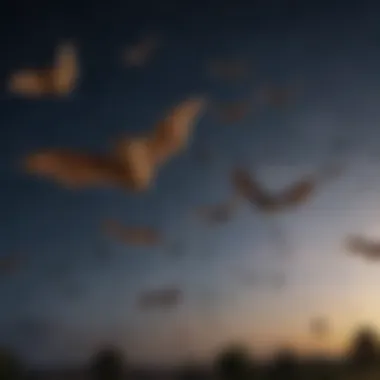 The Majestic Flight of Bats A bat in flight under a starry sky