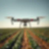 A drone surveying agricultural fields for pest identification