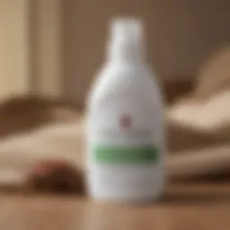 EcoRaider Bed Bug Killer bottle showcasing eco-friendly label