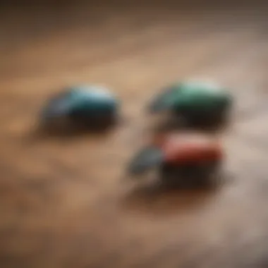 Close-up of tiny beetles on a wooden surface