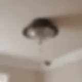 A bird deterrent device installed in a ceiling space