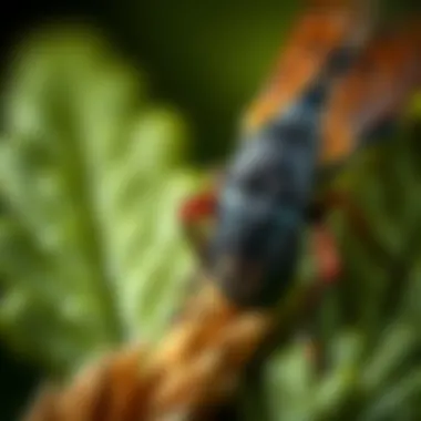 Chemical Control Methods Illustration of chemical control methods against pests