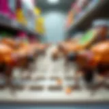 Close-up view of drugstore beetles on stored food products