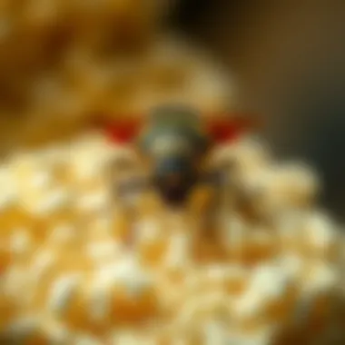 Preventive Strategies for Food Safety Preventive measures for safeguarding stored food from pests