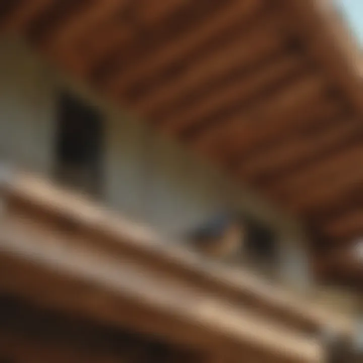 Physical barriers installed on porch rafters