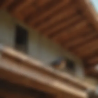 Physical Barriers for Bird Deterrence Physical barriers installed on porch rafters