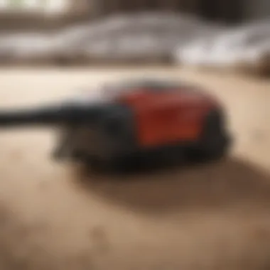 A vacuum cleaner used for bed bug removal