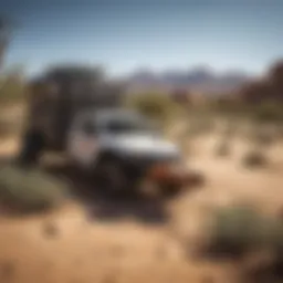 Illustration of sustainable pest control methods in a desert environment