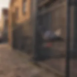 Innovative physical barriers to deter pigeons