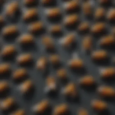 Bee Behavior Patterns A detailed illustration of bee behavior patterns and their environmental significance