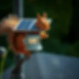 Solar powered squirrel repellent device in action