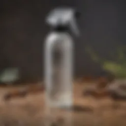 Collection of top-rated ant spray bottles