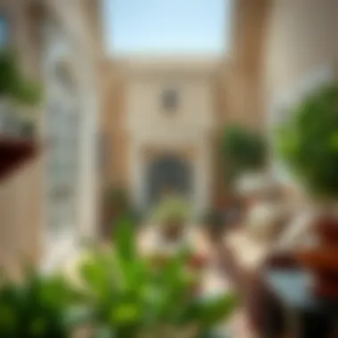 Pest-Free Home Environment A serene home environment representing pest-free living.