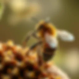 Factors Contributing to Bee Mortality Introduction