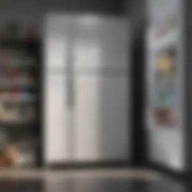 Pest Control Solutions for Refrigerators Effective pest control products for refrigerator use