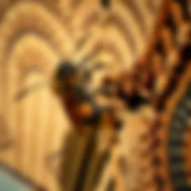 Impact of Carpenter Bees on Structures Wood damage caused by carpenter bees