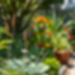 A lush garden showcasing natural pest deterrents