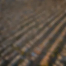Aerial view of Sierra Vista showcasing residential areas