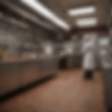 Pest control professionals inspecting a restaurant kitchen