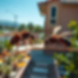 Diverse pest species found in Santa Ana