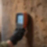 Thermal imaging device detecting pests in a wall