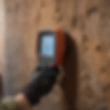 Thermal imaging device detecting pests in a wall