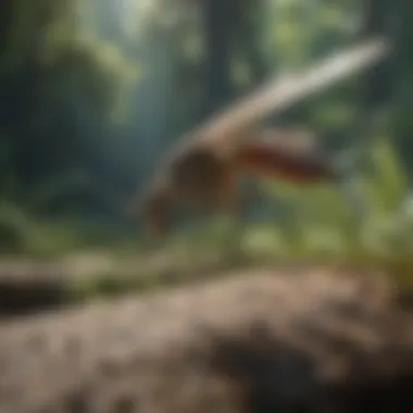 The Natural Habitat of ProFlex Mosquito ProFlex mosquito in natural habitat