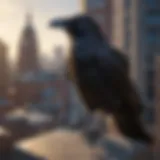 A raven perched on a city building, showcasing urban adaptation