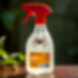 A close-up view of an effective spider spray bottle showcasing its label and safety instructions.