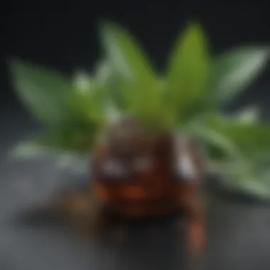 Chemical Properties of Peppermint Oil Chemical structure of peppermint oil