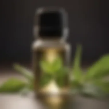 Peppermint Oil as a Natural Deterrent Peppermint oil in a pest control setting