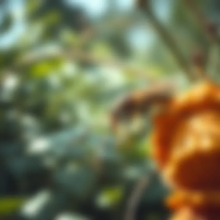 Impact of pest control on the environment