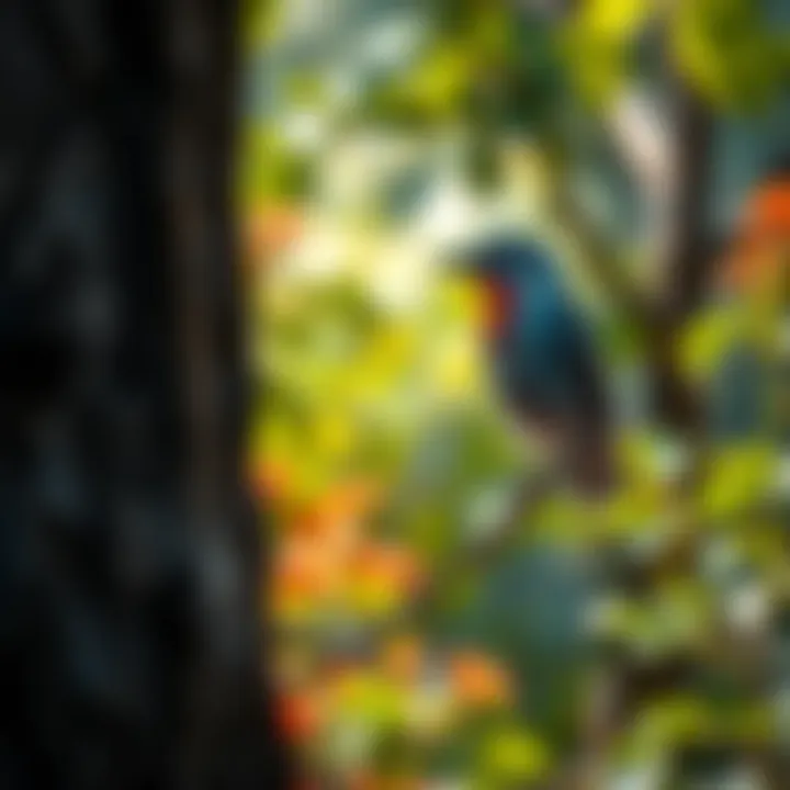 Creating a Harmonious Space for Birds A serene garden designed to attract birds harmoniously