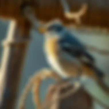 Physical Deterrents to Avian Presence A bird perched near a physical deterrent like a scarecrow