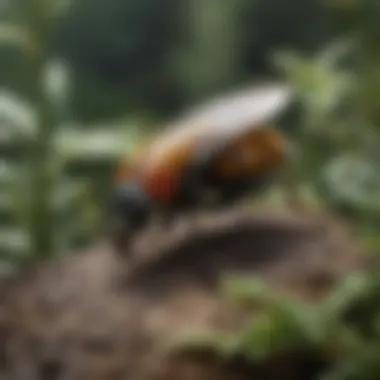 Beneficial Insects: Guardians of the Garden Diverse species of beneficial insects in a garden